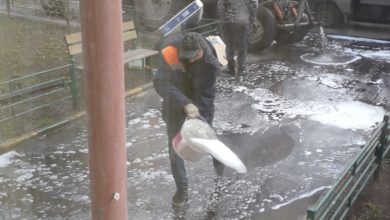 Четвертая масштабная дезинфекция дорог, тротуаров и дворов в Новогиреево