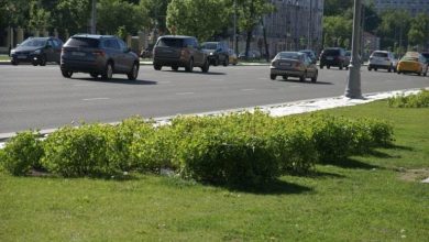 Фото из архива депутата.